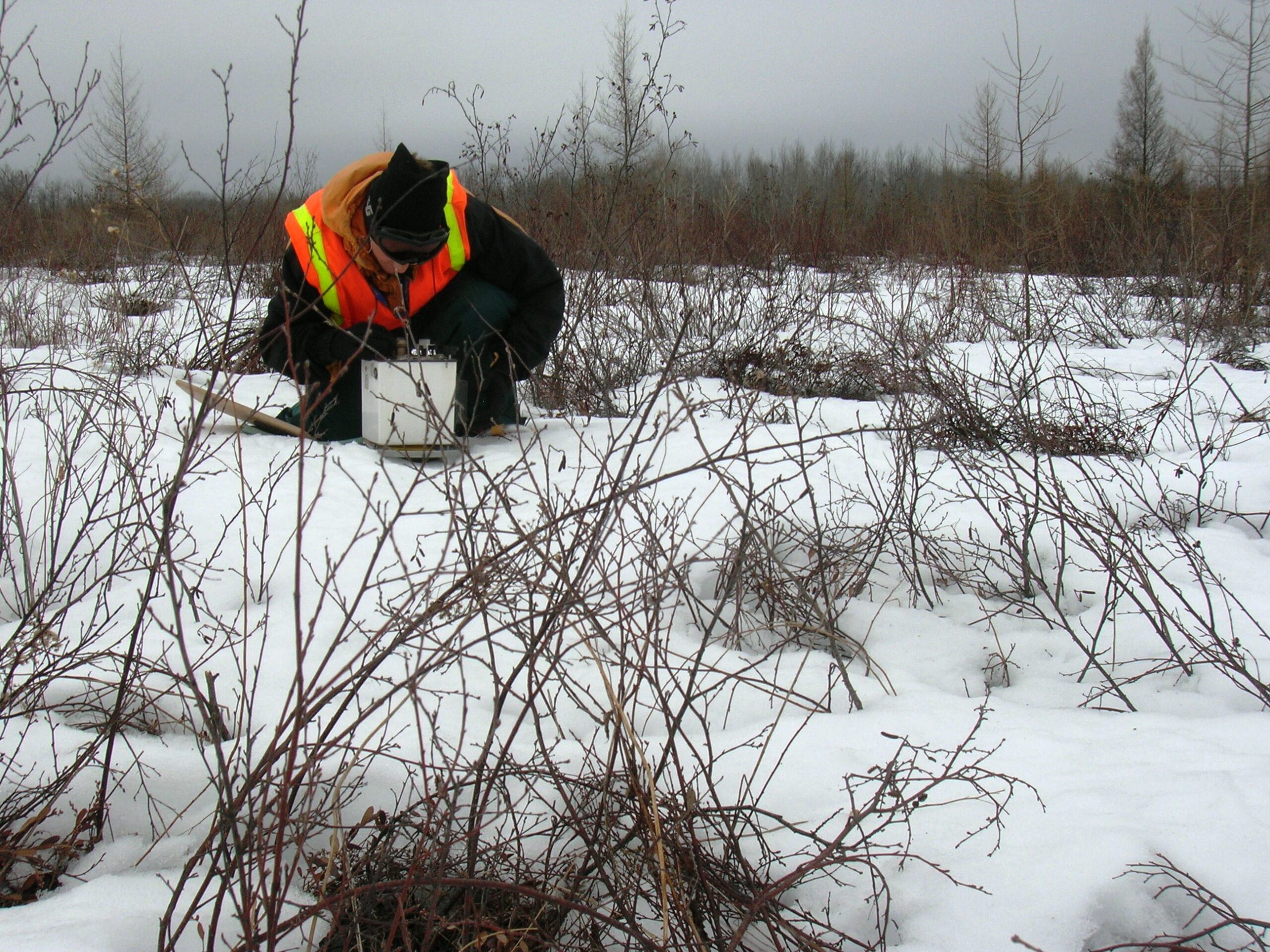 A researcher kneels on snow-covered ground in a forest, examining equipment amidst sparse vegetation and bare trees, highlighting winter fieldwork.